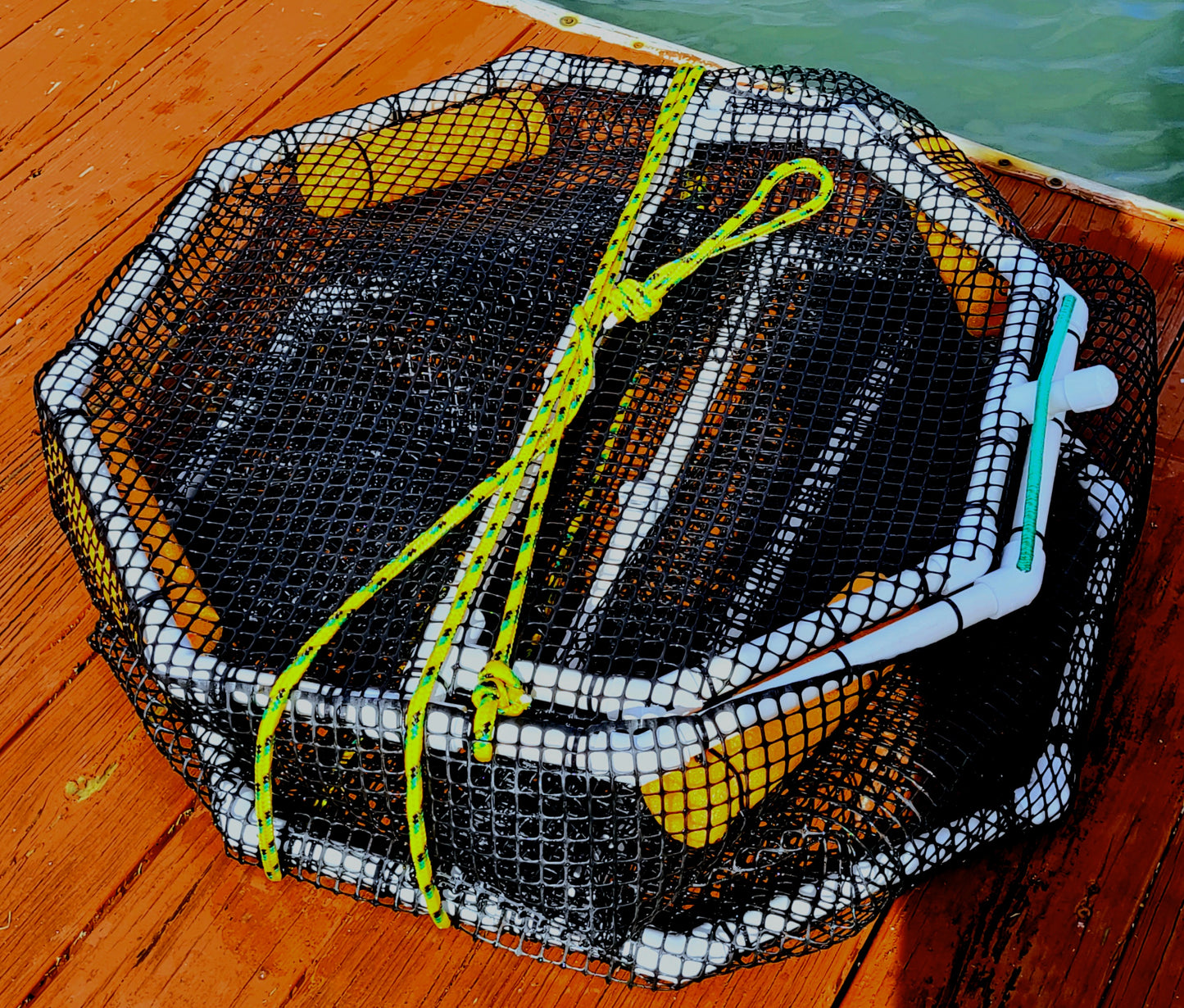 GFG International Series Bait Pen 47 gal 27" wide 24" tall