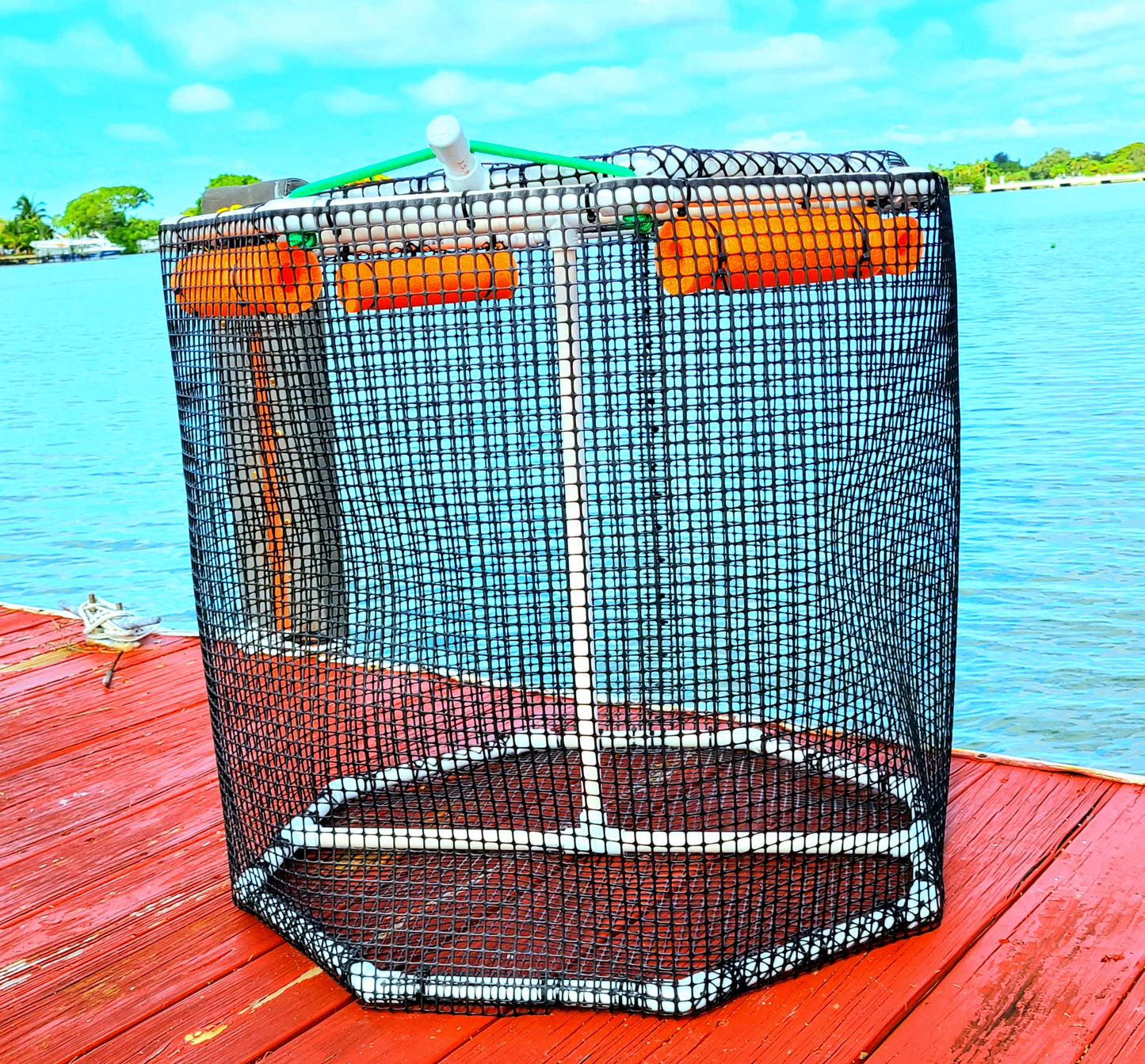 GFG International Series Bait Pen 47 gal 27" wide 24" tall