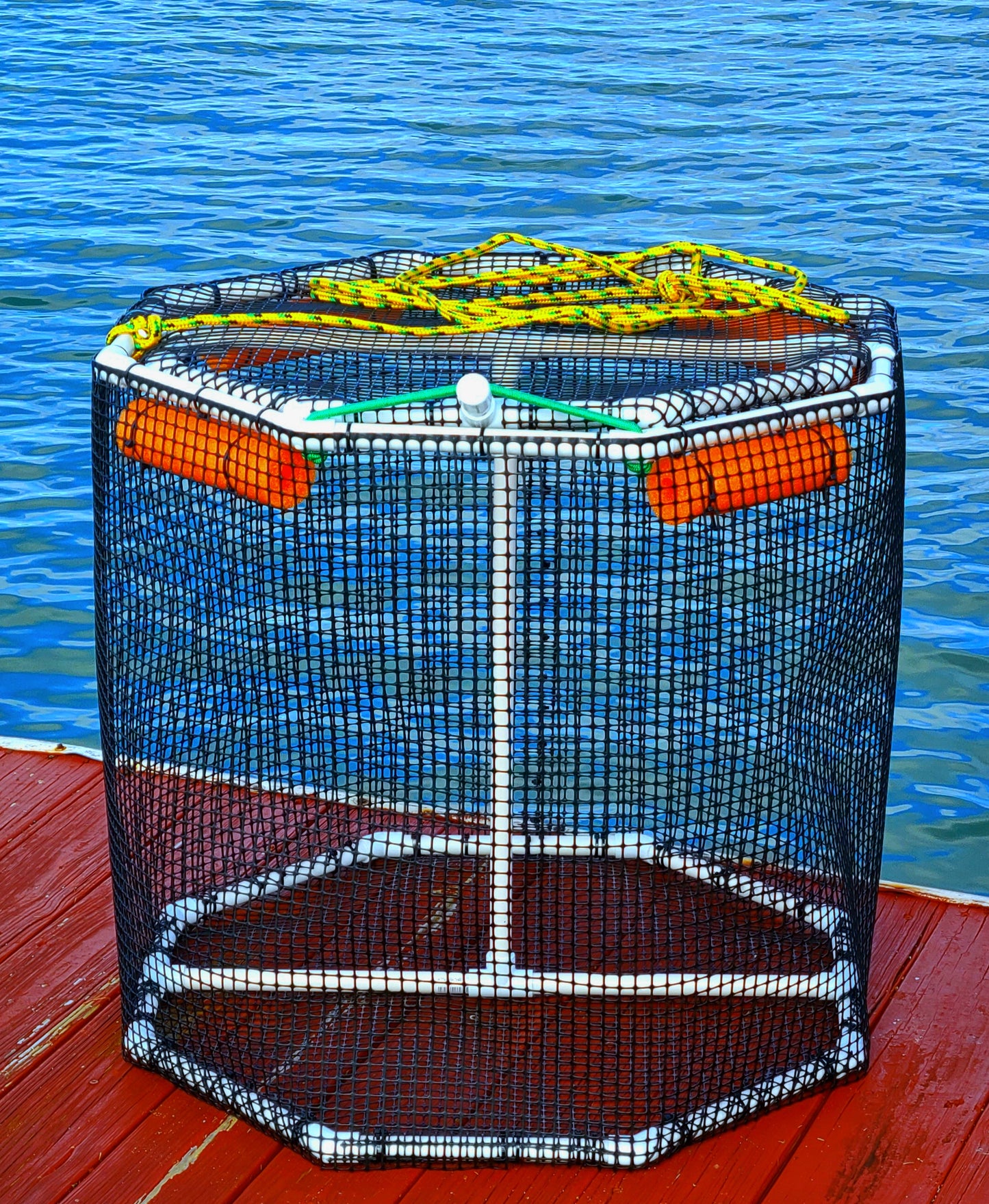 GFG International Series Bait Pen 47 gal 27" wide 24" tall